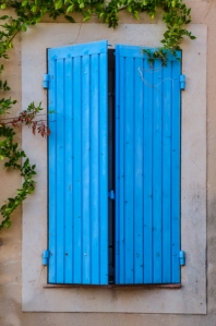 Blue closed window with green plants